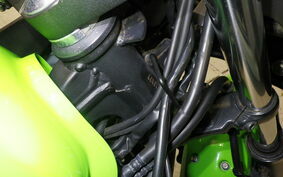 KAWASAKI NINJA 250 ABS EX250L