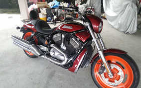 HARLEY NIGHT ROD VRSCD 2006 HDZ