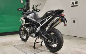 TRIUMPH TIGER 900 RALLY PRO 2023