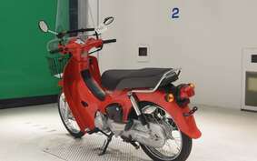 HONDA C110 SUPER CUB