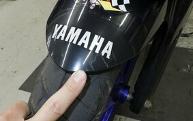 YAMAHA YZF-R25 RG43J