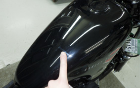 HARLEY XL1200X 2022