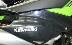 KAWASAKI D-TRACKER150
