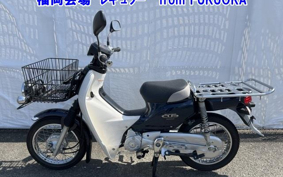 OTHER C110PU LOW 2