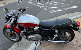 TRIUMPH TRIUMPH BONNEVILLE T100 2020 DAD70G