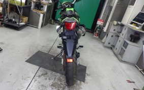 KAWASAKI KLX250D TRACKER X LX250V