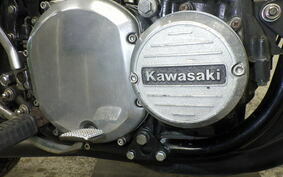 KAWASAKI Z1000 2023 Z1F