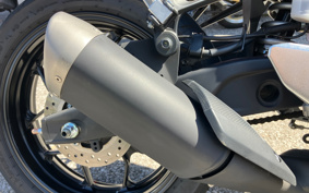 YAMAHA YZF-YZF-R3 ABS 2024 RH21J