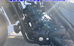 HONDA REBEL