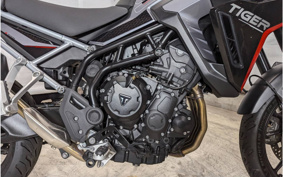 TRIUMPH  TRIUMPH  TIGER 900 2024 TRC81D