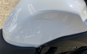 SUZUKI GSX250R DN11A
