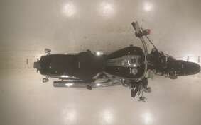 HARLEY FXBR1920 2024