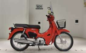 HONDA C110 SUPER CUB