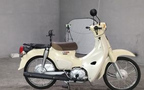 HONDA SUPER CUB50 AA09