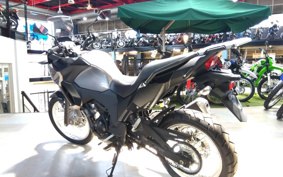 KAWASAKI VERSYS-X 250 ABS LE250D
