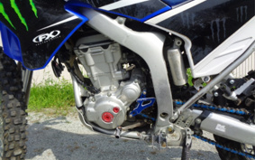 YAMAHA WR250R DG15J