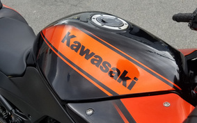 KAWASAKI Ninja 250R SE EX250K