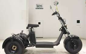 OTHER デンドウUNREGISTERED MODEL by BDS TRIKE DMJC