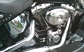HARLEY HARLEY FLSTC 2005 BJY