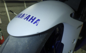 YAMAHA YZF-R3 2021 RH13J