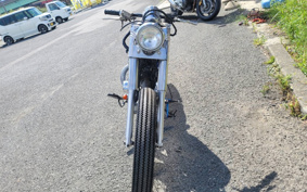 YAMAHA VIRAGO 250 3DM