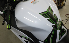 KAWASAKI NINJA 250 EX250L