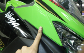 KAWASAKI NINJA 400 2019 EX400G