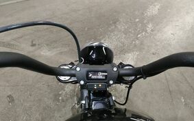 HARLEY FXBB1750 2019 YJJ