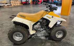 YAMAHA YF100M 3GB