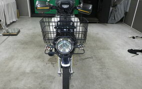 HONDA C110 SUPER CUB JA10