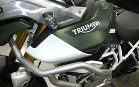 TRIUMPH TIGER 900 RALLY PRO 2020 RE67D8