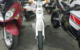 HONDA LITTLE CUB E AA01