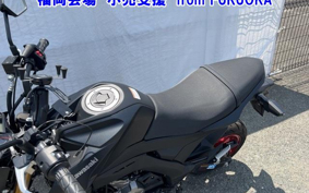 OTHER Z125PRO