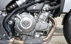 HARLEY  HARLEY X350 2024 W3C