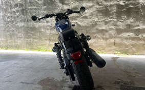 HARLEY  HARLEY RH975S NIGHT  STAR  2024 ZF1