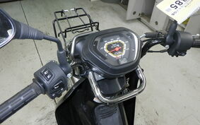 HONDA CROSS CUB 110 JA10