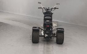 OTHER  TRIKE 125 ..
