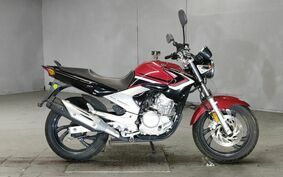 YAMAHA YBR250 不明