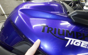 TRIUMPH TIGER 800 2013