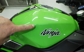 KAWASAKI NINJA 250 EX250L