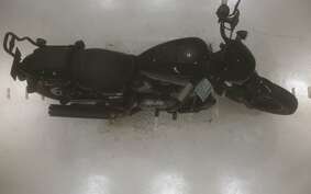 HARLEY RH975 2022