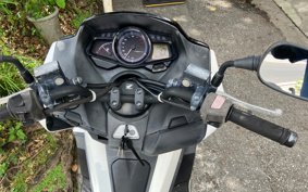 HONDA PHASE MF11