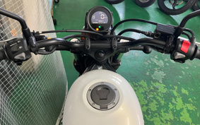 HONDA CL250 MC57