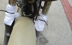 SUZUKI ST250 NJ4AA