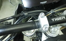 TRIUMPH TIGER 900 RALLY PRO 2021 RE67D8