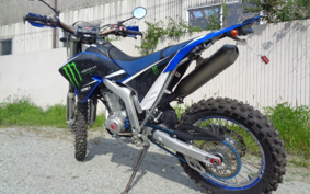 YAMAHA WR250R DG15J