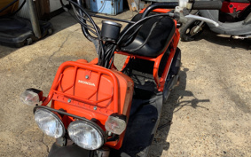 HONDA ZUMAR AF58