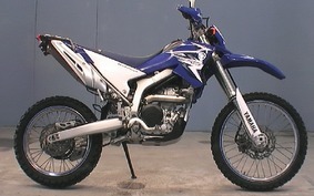 YAMAHA WR250R 2008 DG15J