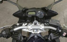 YAMAHA FZ FAZER FEATHER RN17E