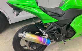 KAWASAKI NINJA 250R EX250K